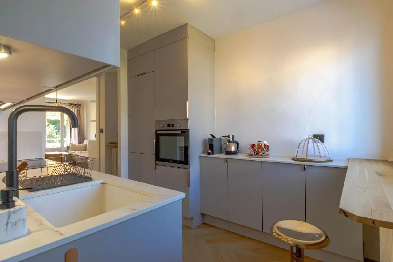 L'Oasis 4 Etoiles - Triangle D'Or, A 100M Du Lac, Parking Gratuit Annecy